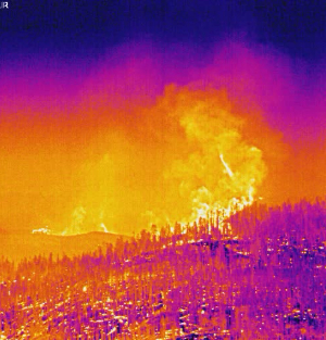 efd-wildfire-thermal