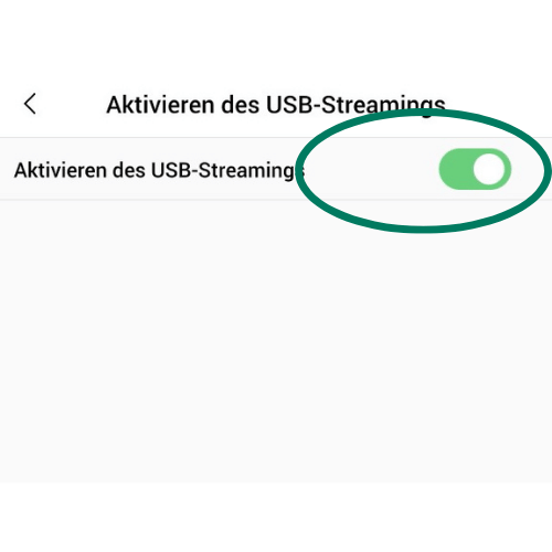 Anleitung FLIR C5 Streaming - USB-Streaming Aktivieren